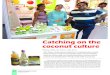 Catching on the coconut culture sep 2015_p40_42.pdf · Rosacea. Eczema. Keratosis polaris. Q Effective in dermal healing, wounds, fungal infections and acne Q Prevents constipation
