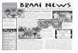 Braai News Remember to tell them you saw it in Braai News 20 AGE · 2019. 11. 14. · and may your physiotherapist, chiropractor, therapist, Ntate Tshukudu (your traditional doctor)