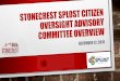 Stonecrest SPLOST citizen oversight advisory committee ......Dec 12, 2018  · UNDERGRADUATE DEGREES IN ECONOMICS, ... The recommendation for the competitive bid process apply to the