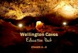 Wellin gton Caves Education Pack - Whitepages · discovered by members of the Sydney University Speleological Society. Water Cave (Anticline Cave) - this is a small doline cave leading