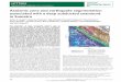 Aseismic zone and earthquake segmentation associated with ...LETTERS PUBLISHED ONLINE: 3 APRIL 2011 | DOI: 10.1038/NGEO1119 Aseismic zone and earthquake segmentation associated with