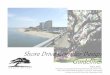 Shore Drive Design Guidelines March 2002 - VBgov.com · 2016. 2. 3. · Services Panel of the Urban Land Institute (ULI), ... as landscaping ... The north side of Shore Drive is recommended