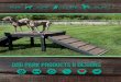 DOG PARk PRODUCTS & DESIGNs - CADdetails · 8 Gyms or Dogs TM atente la roducts esigns olo cheme n peci˜cation r xclusiv n roprietar esigned hi roduc o opied eproduced o uplicate