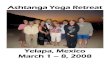 Ashtanga Yoga RetreatMexico Memories . Dock Meditations . Aaaa-HOoooo . Vande Gurunam . . . Naming the Critters . Roxy (Ellen the sweet stray dog) Pete (the Iguana) Krabby Patty (the