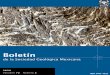 Boletínboletinsgm.igeolcu.unam.mx/bsgm/vols/epoca04/7202/PORTADA 72 … · El Boletín de la Sociedad Geológica Mexicana es una revista científica con arbitraje estricto publicada