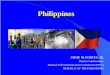 Deputy Commissioner National Telecommunications Commission ... · Philippine Air Force 1. Undertakes aerial search and rescue operations, 2. Supervises immediate repair of damaged