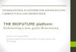 THE BIOFUTURE platform - CGEE...2020) Medium-term (2012-2025) Long term (2026-2030) E2G average cost E1G average cost Biomass, CAPEX and enzymes are the main drivers of E2G production