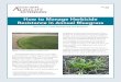How to Manage Herbicide Resistance in Annual Bluegrass · 2015. 9. 28. · (WSSA) and the Herbicide Resistance Action Committee (HRAC) have developed separate but similar systems