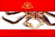 Live Norwegian King Crab a door opener for Norwegian Live ... · Less competition All year round business – stabile work places ... Optimal dencity Optimal cleaning and tendering