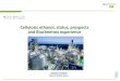 Cellulosic ethanol, status, prospects and Biochemtex ... Advanced biofuels comprise cellulosic ethanol,