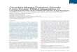 Circadian Mutant Overtime Reveals F-box Protein FBXL3 … · Circadian Mutant Overtime Reveals F-box Protein FBXL3 Regulation of Cryptochrome and Period GeneExpression Sandra M. Siepka,1,2,5