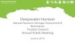 Deepwater Horizon ... Deepwater Horizon Natural Resource Damage Assessment & Restoration Trustee Council