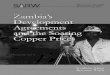 Southern Africa Resource Watch · 2020. 7. 15. · Southern Africa Resource Watch 4 Introduction Since the discovery of copper deposits in Zambia during the 1930s, copper has spelled