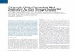 Eukaryotic Origin-Dependent DNA Replication In Vitro ... · Eukaryotic Origin-Dependent DNA Replication In Vitro Reveals Sequential Action of DDK and S-CDK Kinases Ryan C. Heller,1,2