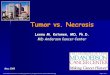 Tumor vs. Necrosis - Rochester, NY...Tumor vs necr 5-11-05.ppt Author: Margaret Kowaluk Created Date: 20110721201039Z 