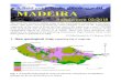 1. New geological map (replacing Fig. 6. Page 20) · 2. Volcanic Stratigraphy of Madeira (A. Brum da Silveira et al. 2010) Stratigraphy of SUPERIOR VOLCANIC COMPLEX (CVS) – Zbyszwski