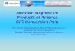 Meridian Magnesium Products of America SF6 Conversion Path€¦ · Components and Assemblies in the Global Automotive Market • Worlds Largest Producer of Magnesium Automotive Components