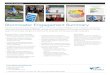 Stormwater Engagement Summary - Victoria · Three educational videos, an interactive online historical timeline, Rain Garden Gnomes, print advertising, media relations and social