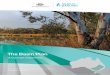 The Basin Plan - Murray-Darling Basin Authority For further information contact the Murrayâ€“Darling