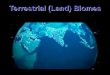 Terrestrial (Land) Biomes - QUEENBEGUMSCIENCE · Terrestrial (Land) Biomes. Biome •An area of land like an ecosystem, but on a bigger scale…has a spec. climate. •Animals/plants