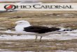 ohiobirds.org · On the cover: This issue’s cover photo of a probable Kelp Gull was taken by Kent Miller on 11 Feb in Stark. Ben Morrison, who found the gull — the first state