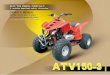 ATV150-3 USER'S MANUAL - Family Go Karts · Proper air pressure will provide maximum stability, riding comfort and tyre life. Check tyre pressure frequently and adjust if necessary