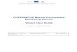 CMEMS-CIS Viewer User Guide - Copernicus · CMEMS-CIS Copernicus Marine Service Viewer User Guide Ref : CMEMS -CIS UM VIEW Date : 11-MAY 2016 Issue : 1.1 COPERNICUS MARINE ENVIRONMENT