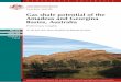 Gas shale potential of the Amadeus and Georgina Basins, Australia€¦ · Rock Eval Temperature Programme Pyrolysis: 300°C (3 min.) at 25 °C/min. to 650 °C (0 min.) The Rock-Eval