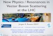 New Physics / Resonances in Vector Boson Scattering at ...reuter/downloads/2016_Singapore.pdfJ.R.Reuter New Physics in VBS at the LHC BSM Workshop, NTU Singapore, 04.03.2016 Jürgen