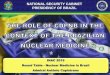 NATIONAL SECURITY CABINET PRESIDENCY OF BRAZIL · REPUBLIC JAIR BOLSONARO TO THE NATIONAL CONGRESS. NATIONAL SECURITY CABINET PRESIDENCY OF BRAZIL (p.126) "The Nuclear Sector was