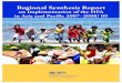 Regional Synthesis แก้ไข - UNDRR · 2011. 4. 6. · 4 Regional Synthesis Report on Implementation of the HFA in Asia and Pacific 2007 – 2008/ 09 Accronyms AADMER Agreement