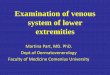 Examination of venous system of lower extremities · • the venous pumping system consists of the muscle, the distal calf and the foot pumps • muscular contraction is the main
