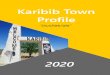 Karibib Town Profile Town Profile.pdf · Profile 2020-----‘’City of Bright Lights’’ ... Core Values 3. History of the town The town of Karibib originated as a watering point