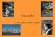 Australia - sites.harrisburgacademy.orgsites.harrisburgacademy.org/kweber/files/2016/09/Australia1.pdf · Indian . Ocean alia -innm—chool.corn Australia continent, ountr", and Darwin