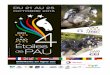 CCI & CAIO 4 Etoiles de Pau 2015 - Mijn KNHS · CCI & CAIO 4 Etoiles de Pau 2015 FEI APPROVED DRIVING SCHEDULE 2015 1 . Please note that schedules will only be accepted when submitted