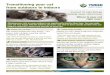 Transitioning your cat from outdoors to indoors · after one cat was attacked by a feral cat and then bitten by a snake” – Jan, Murwillumbah. Protects wildlife All cats hunt,