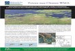 The habitat conservation project on Pointe-aux-Chenes WMA ...The habitat conservation project on Pointe-aux-Chenes WMA has restored hydrology to 4,736 acres of degraded marsh through