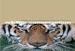 Wildlife Reserves Singapore Yearbook 2005/2006 wildlife ...€¦ · Australian Outback reflects the rugged beauty of Down Under, with its flanking entry and exit points resembling