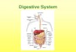 Ch. 38 Excretory System...Excretory System Functions: •The excretory system is a system of organs that remove _____from the body. •The mains organ of the excretion are the _____