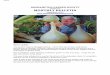 ROEHAMPTON GARDEN SOCIETY - roehamptonallotments.co.uk · AND RGS MEMBERS ARE GIVEN A 10% DISCOUNT ON THE PACKET PRICE . ... Chioggia beetroots - check out the matching nail varnish