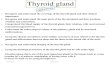 Thyroid gland - doctor2018.jumedicine.com€¦ · Recognize and understand imaging of the thyroid gland. 7. Grasp the histological structure of the thyroid gland and its cells under