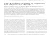 USP14 regulates autophagy by suppressing K63 ...genesdev.cshlp.org/content/30/15/1718.full.pdfUSP14 regulates autophagy by suppressing K63 ubiquitination of Beclin 1 Daichao Xu,1 Bing