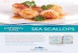 CAPTAIN'S CALL Scallops · 2016. 3. 9. · CAPTAIN'S CALL Scallops . Title: NW CAPT SCALLOPS 2 PAGE 8.5x11 Created Date: 3/23/2015 10:44:02 AM