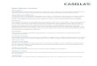 Noise Glossary of Terms - casellasolutions.com · equivalent decibel level for the 100% noise dose value for the criterion duration of 8 hours. Cumulative The total or overall sound