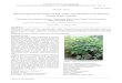 Pharmacognostical studies of leaf, stem, root and flower of ...impactfactor.org/PDF/IJPPR/8/IJPPR,Vol8,Issue1,Article29.pdfAlshymaa Abdel-Rahman Gomaa, *Mamdouh Nabil Samy, Samar Yehia