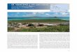 ST VINCENT & THE GRENADINES - BirdLife Internationaldatazone.birdlife.org/.../CaribCntryPDFs/st_vincent... · Vincent. The Grenada Flycatcher Myiarchus nugator and Lesser Antillean