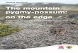 The mountain pygmy-possum: on the edge · ‘The mountain pygmy-possum: on the edge’ project presents two tasks for students. 1. Demonstrates how a Geographic Information System