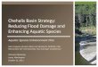 Chehalis Basin Strategy: Reducing Flood Damage and ... -- ASEP Tech Wo… · • The ASEP will – Characterize key aquatic resources – Evaluate restoration and enhancement strategies