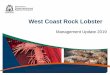West Coast Rock Lobster · Rock Lobster Management Team Graeme Baudains Principal Management Officer Ph: +61 (08) 6551 4427 email: Graeme.Baudains@dpird.wa.gov.au Pia Dobson