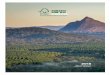 FSC AUSTRALIA ANNUAL REPORT · FSC is a global not-for-profit organisation that sets the standards for what a responsibly managed forest is, both environmentally and socially. FSC